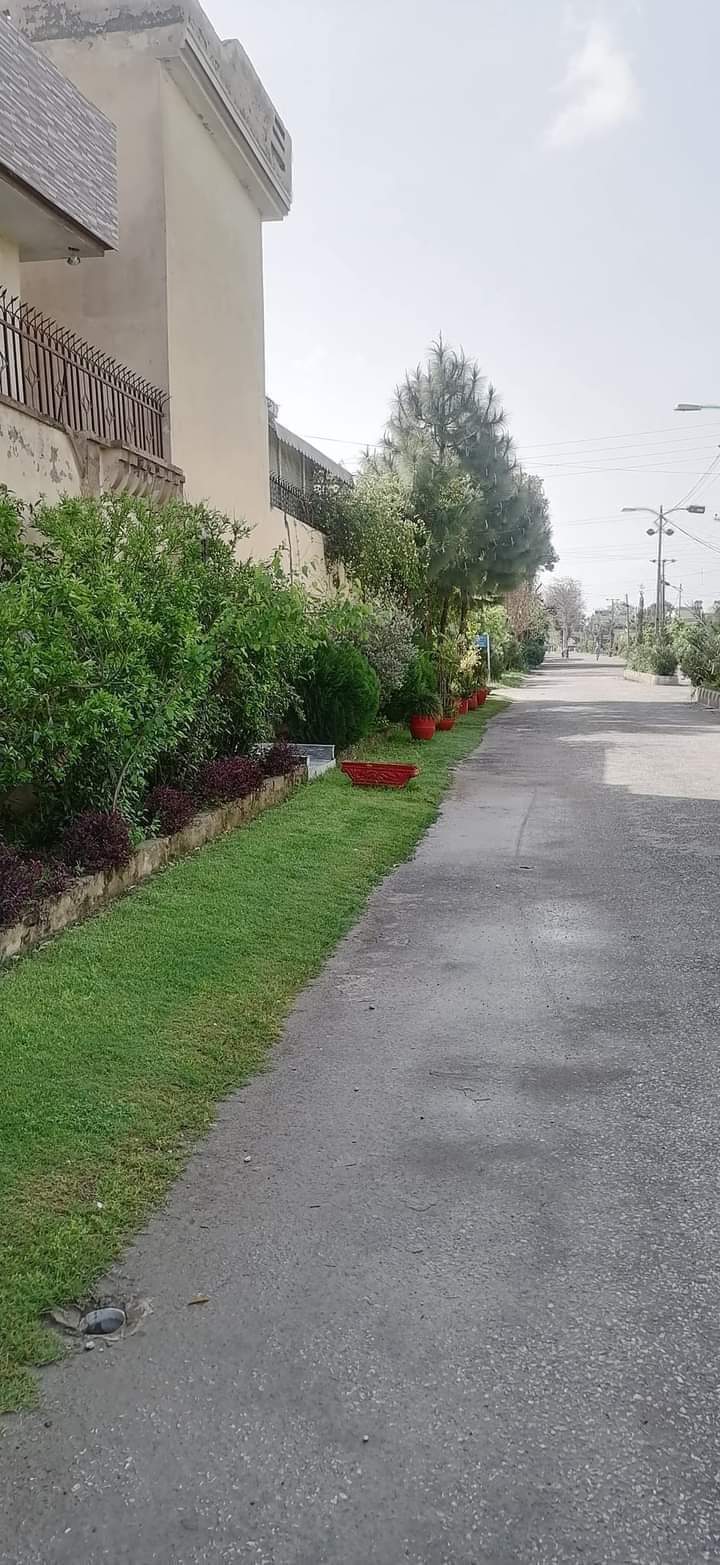 FB_IMG_1714634280646