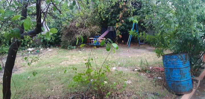 FB_IMG_1717871571573