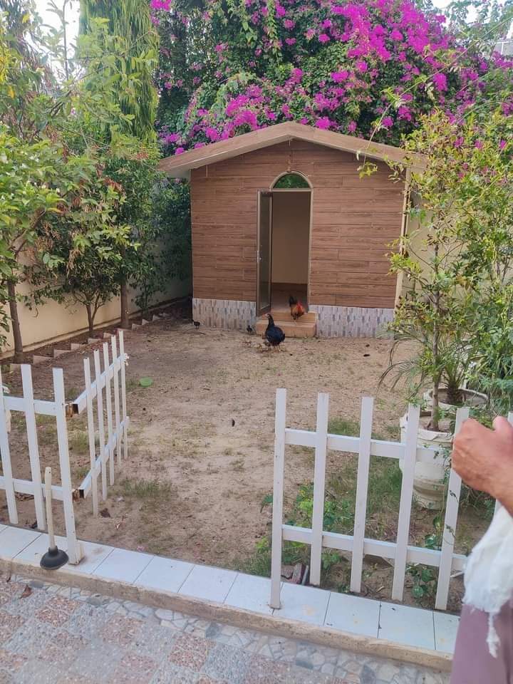 FB_IMG_1719301270733