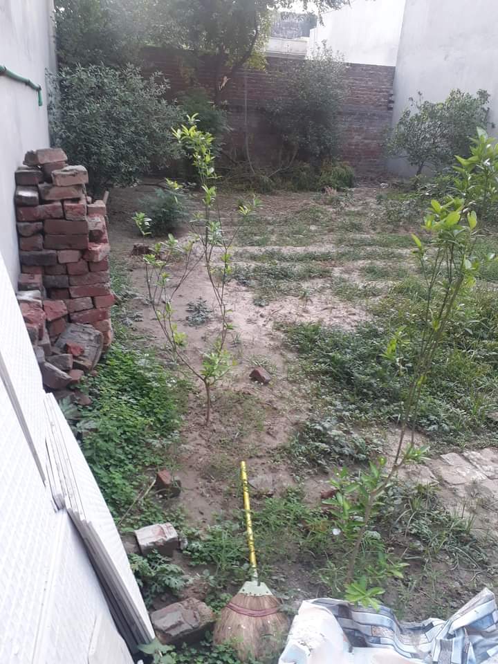 FB_IMG_1721075327321