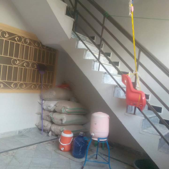 FB_IMG_1721484385212