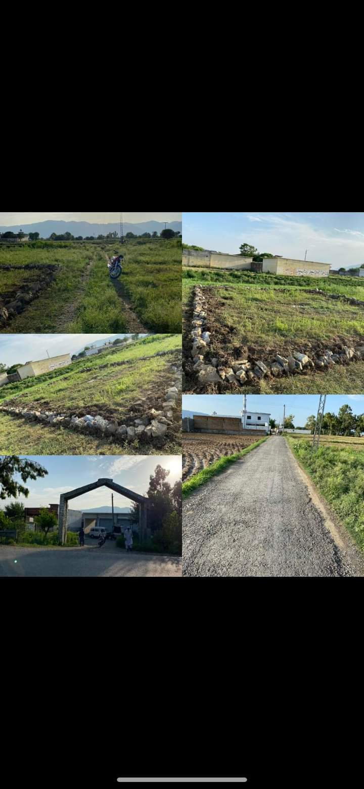 FB_IMG_1721996103326