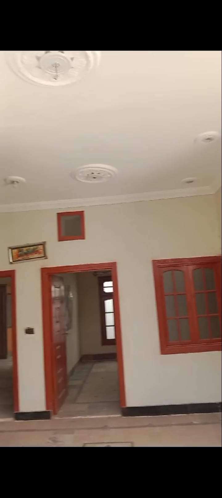 FB_IMG_1722007146393