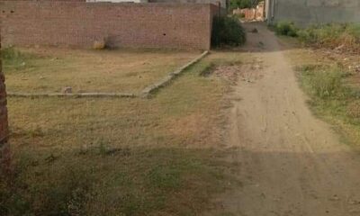 FB_IMG_1722066167281