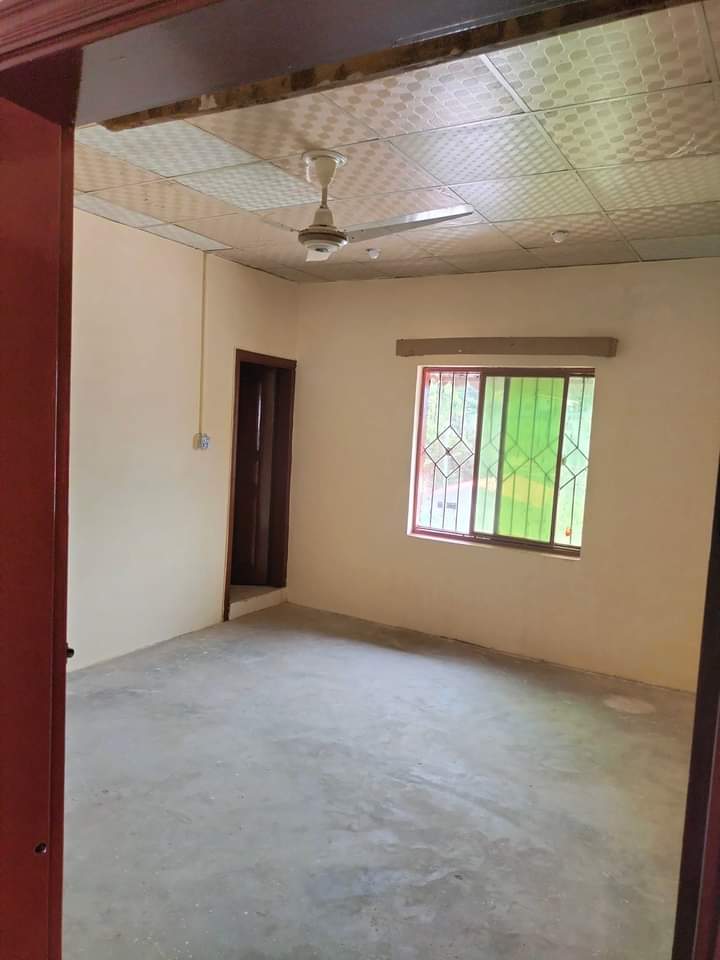 FB_IMG_1722222450533