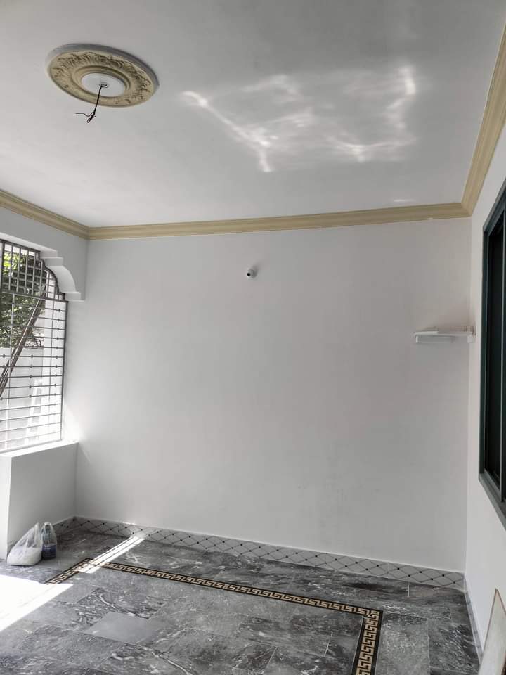 FB_IMG_1722240202373