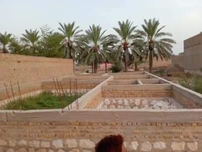 FB_IMG_1722269804651