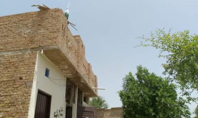 FB_IMG_1722393356659