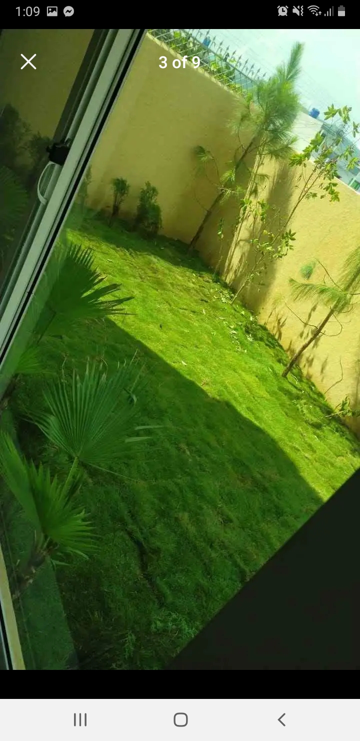 Screenshot_20240709-130921_Facebook