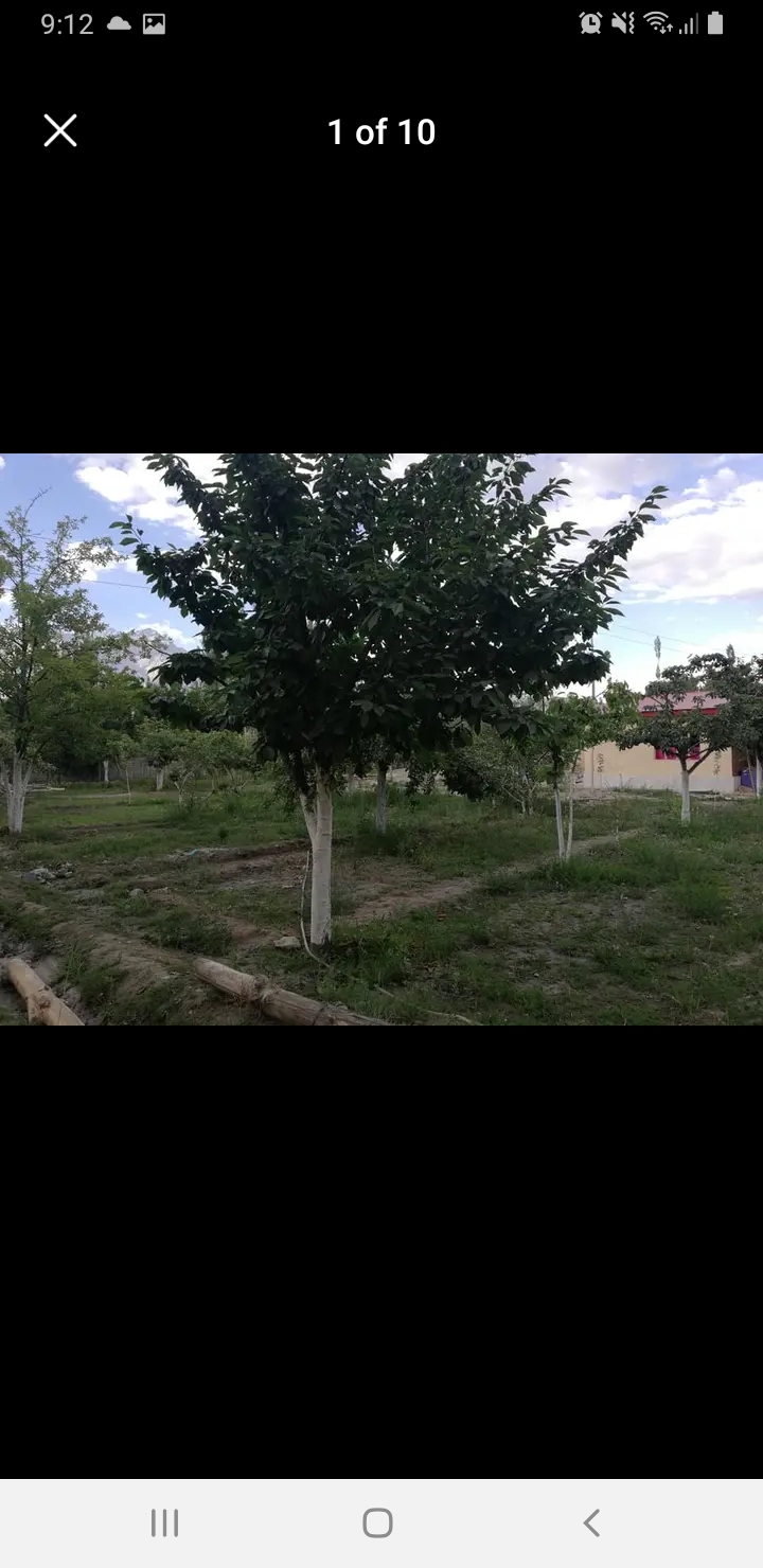 Screenshot_20240725-091224_Facebook