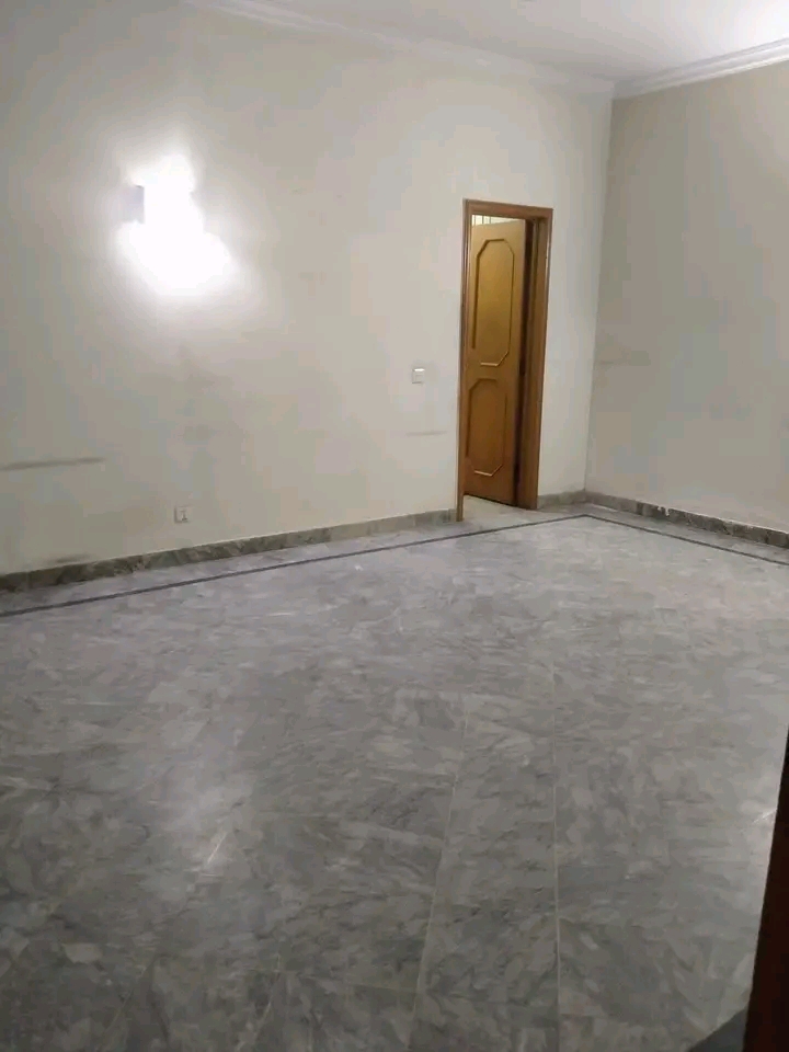 1000036259