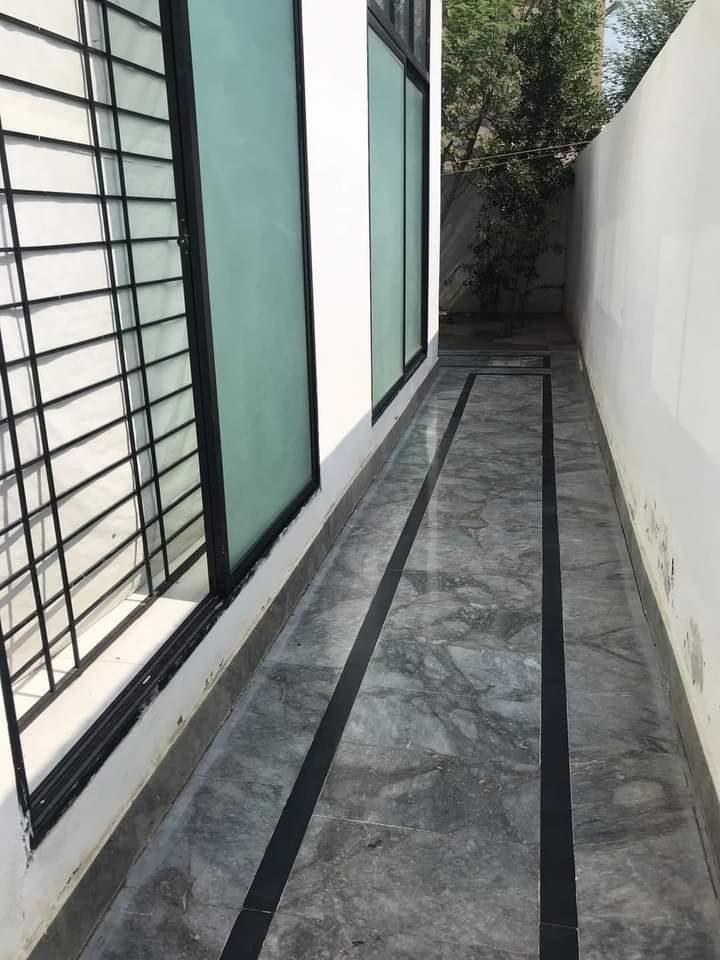 FB_IMG_1723014224654