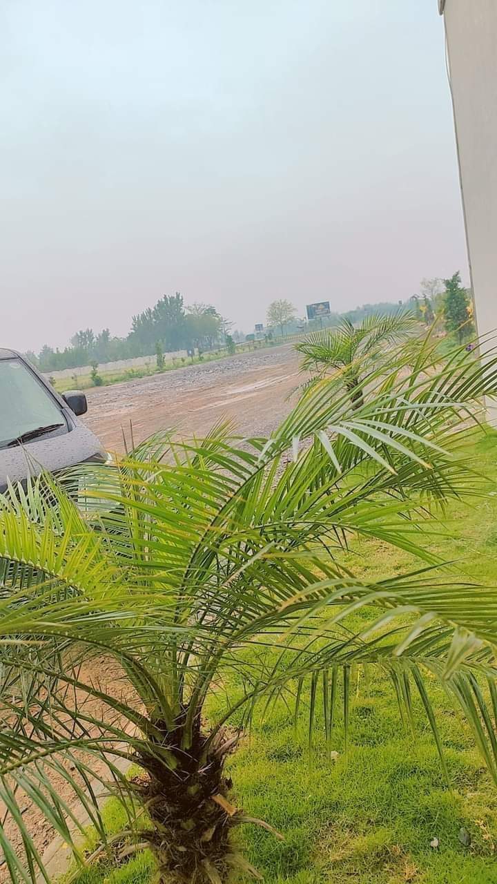 FB_IMG_1723446912719