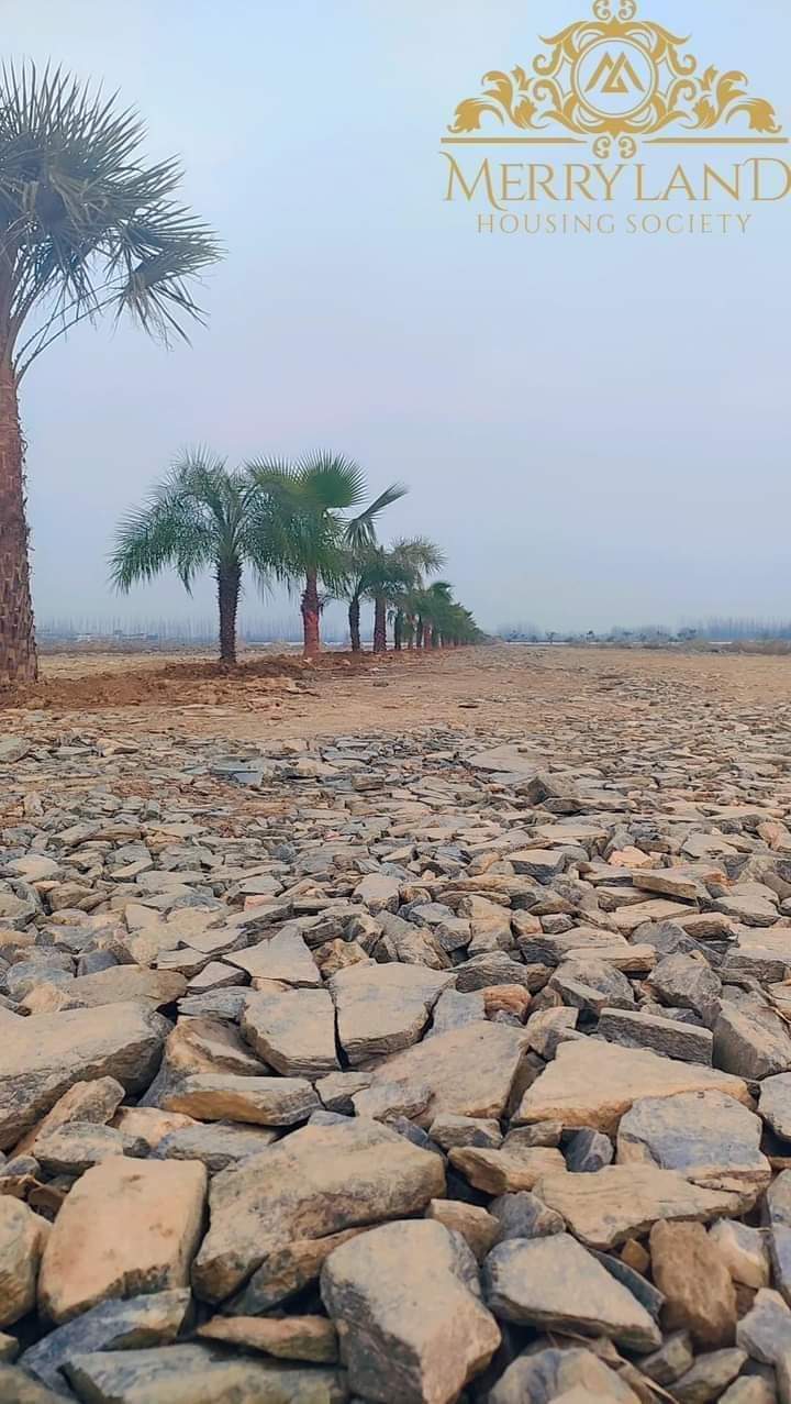 FB_IMG_1723446935546