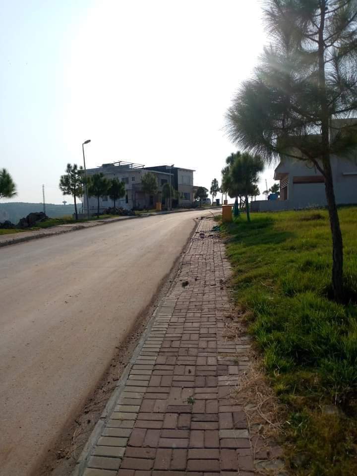 FB_IMG_1724081675992
