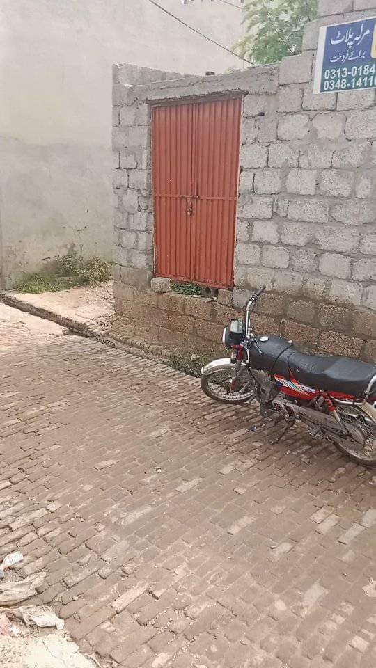 FB_IMG_1724125533726