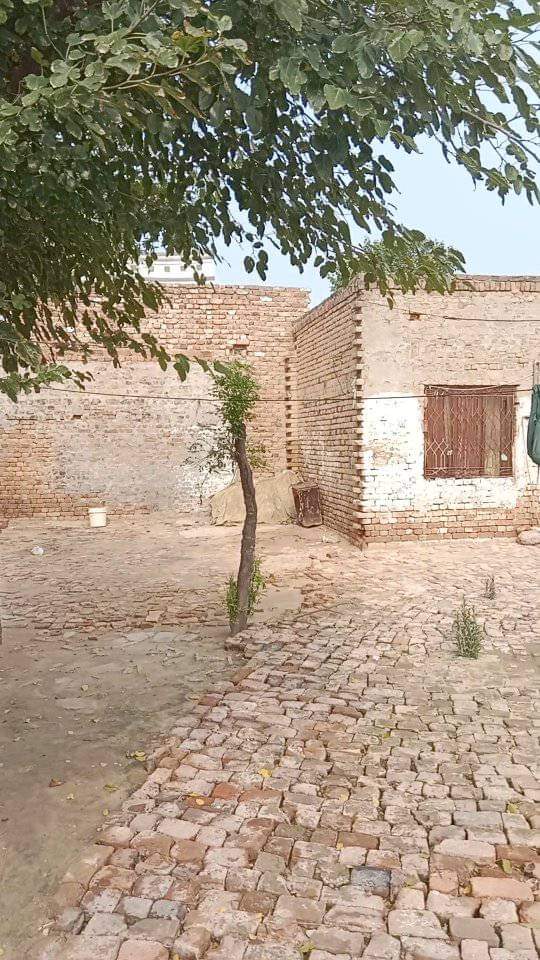 FB_IMG_1724125543967