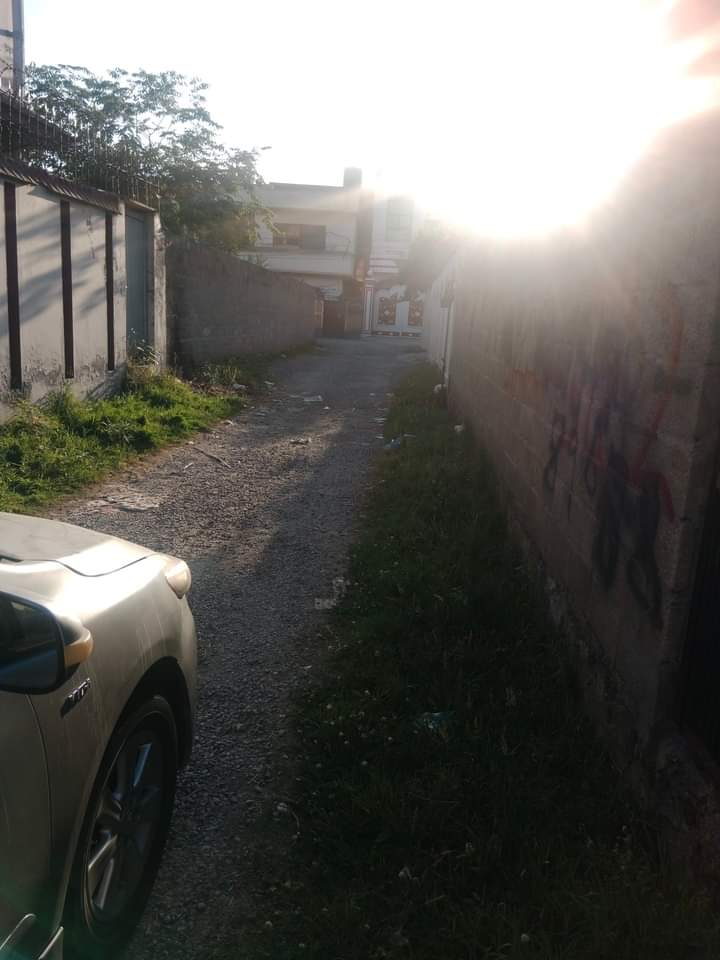 FB_IMG_1724157374774