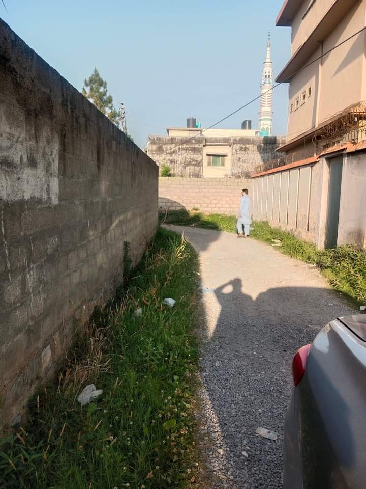 FB_IMG_1724157376681-1