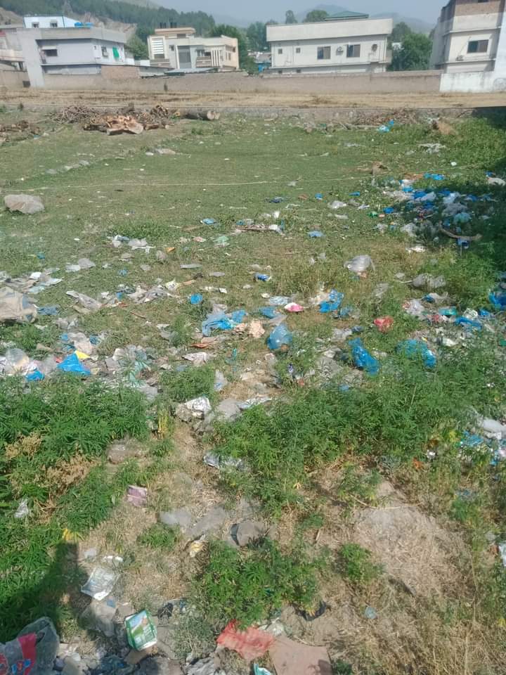 FB_IMG_1724159428657