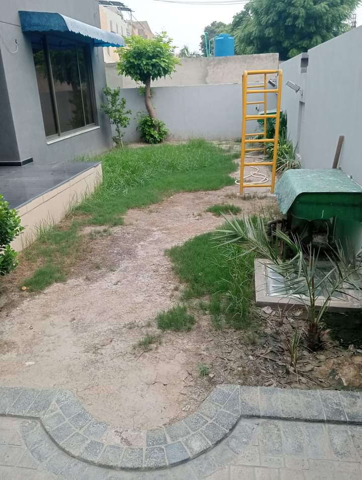 FB_IMG_1724701544413