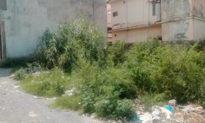 Screenshot_20240812-190519_Facebook