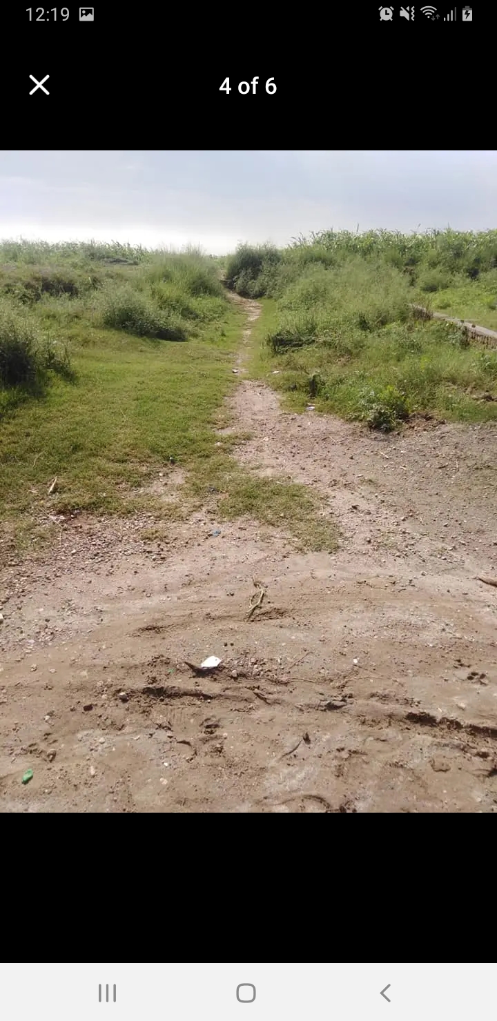 Screenshot_20240820-001925_Facebook