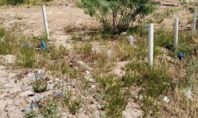 Screenshot_20240820-123934_Facebook