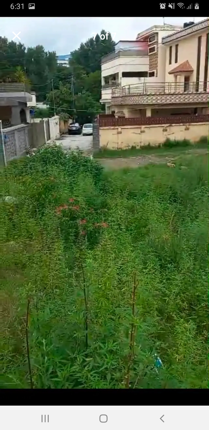 Screenshot_20240820-183149_Facebook