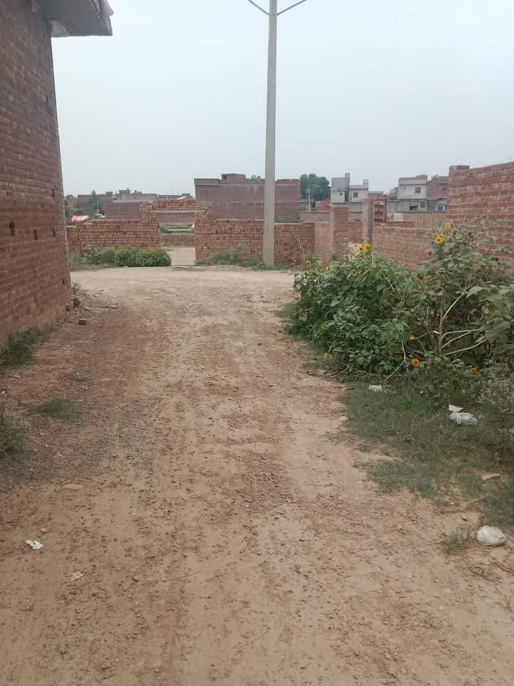 FB_IMG_1725737077766