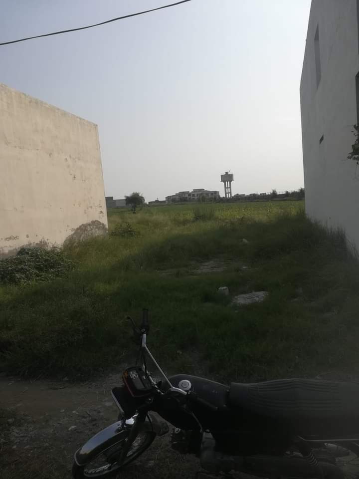 FB_IMG_1727665043482