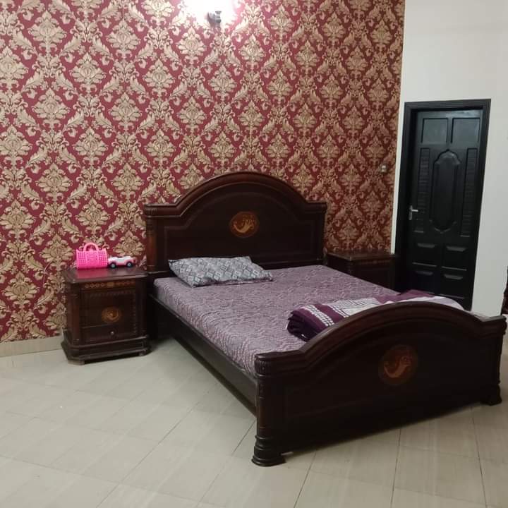 FB_IMG_1727667671002