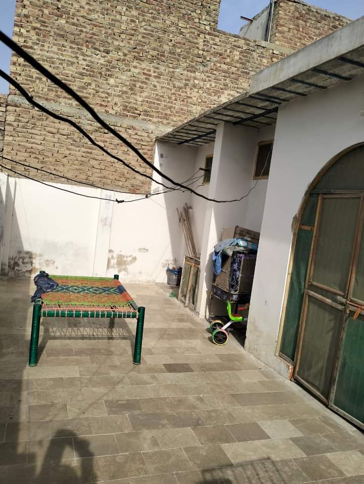 FB_IMG_1727716146845