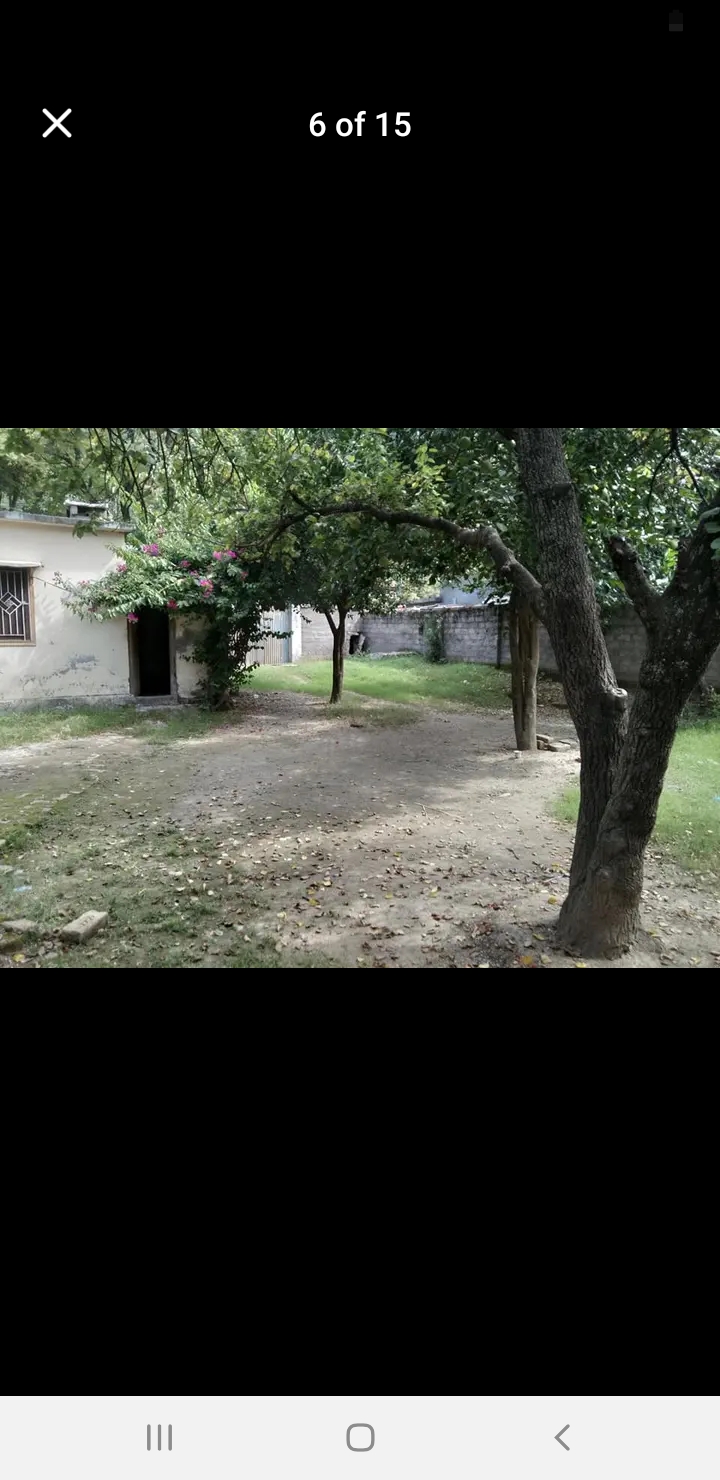 Screenshot_20240921-021609_Facebook