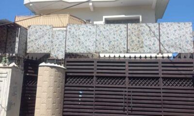 FB_IMG_1727925854018