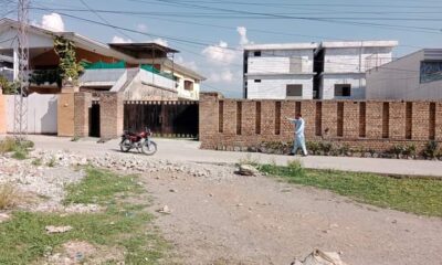 FB_IMG_1727926702652