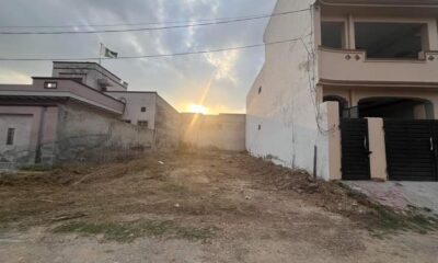 FB_IMG_1728097034381