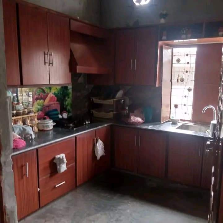 FB_IMG_1728150007623