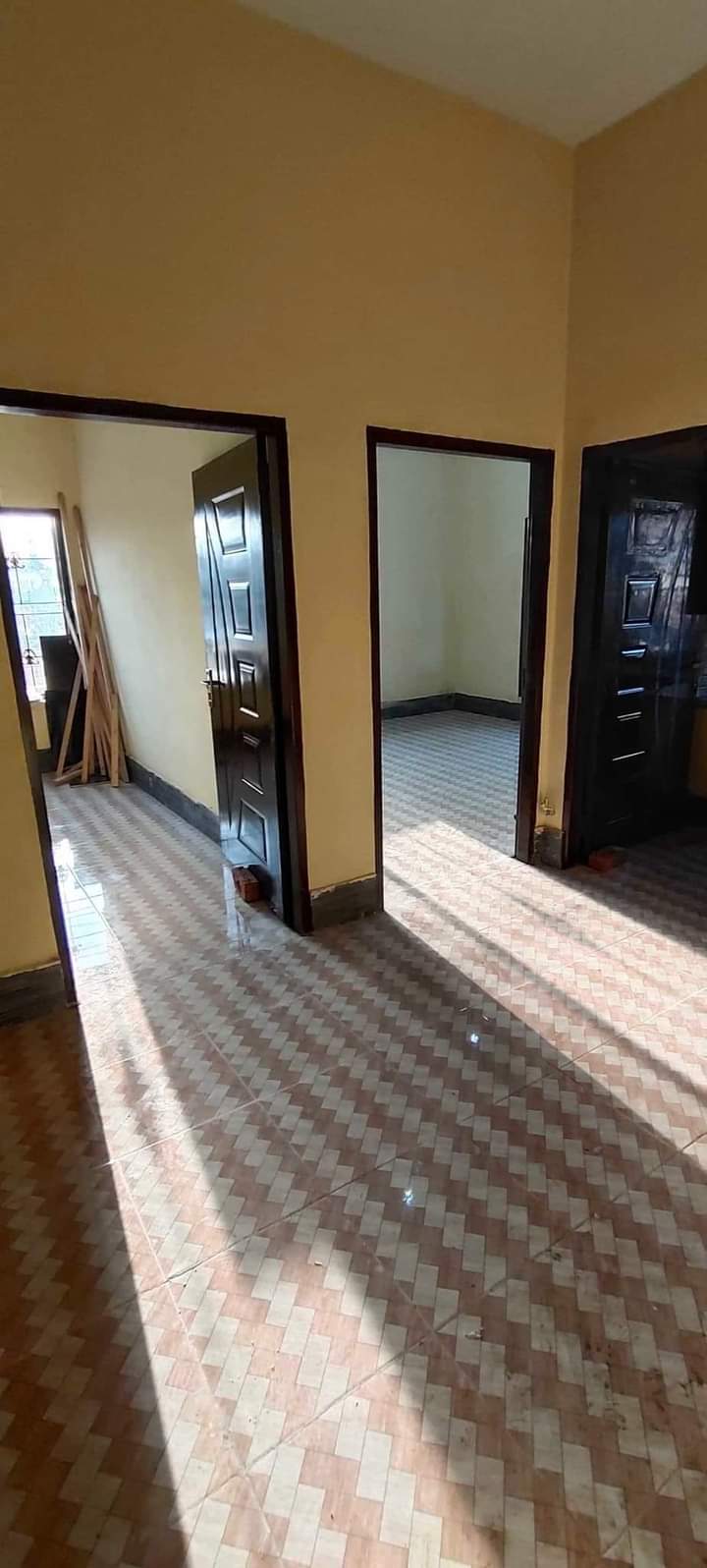 FB_IMG_1728373511706