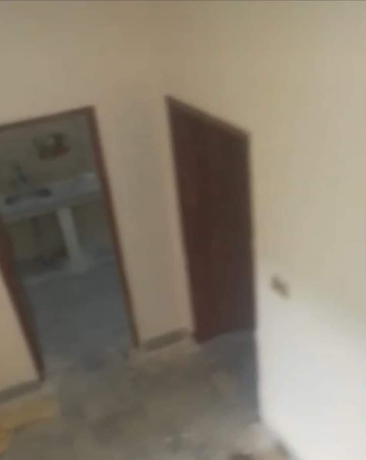 FB_IMG_1728541156889