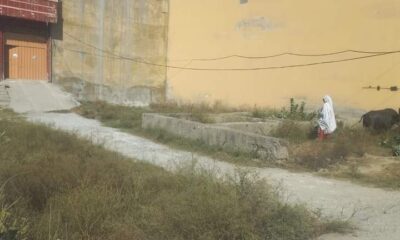 FB_IMG_1728630377283