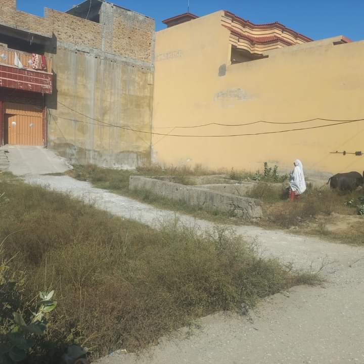 FB_IMG_1728630377283