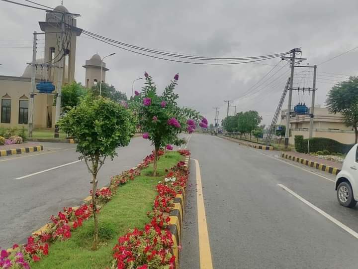 FB_IMG_1728631497469