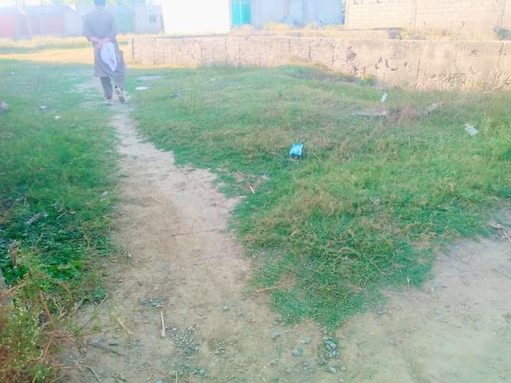 FB_IMG_1728632988749