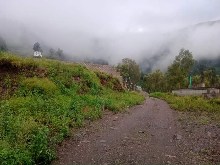 FB_IMG_1728657513796-1