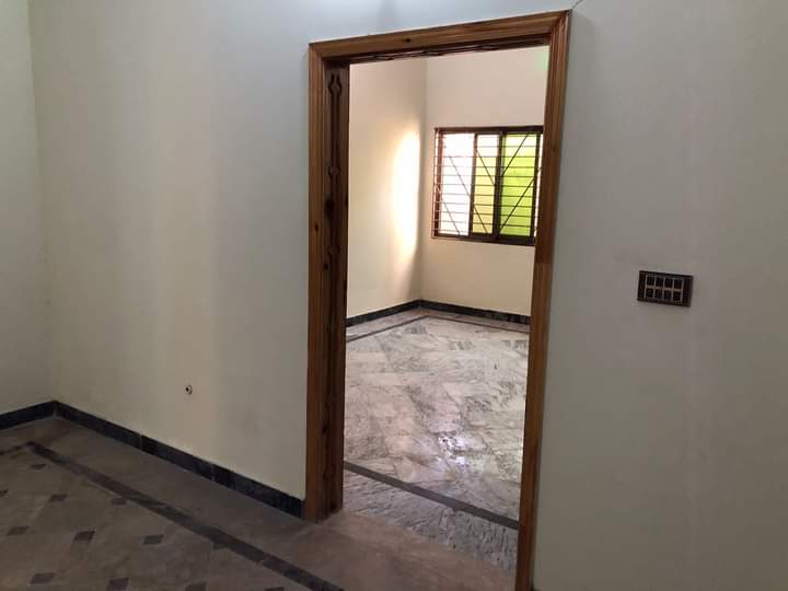 FB_IMG_1728662767563