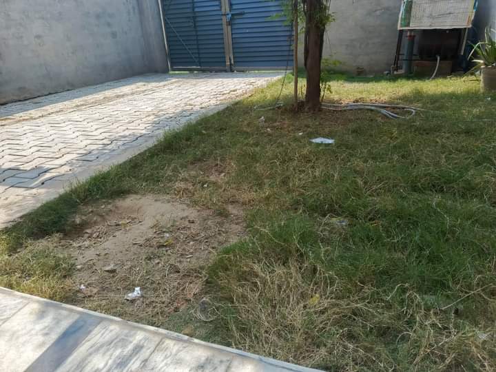FB_IMG_1728890005574