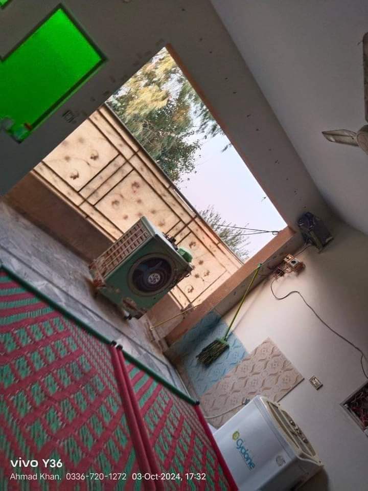 FB_IMG_1729484377882