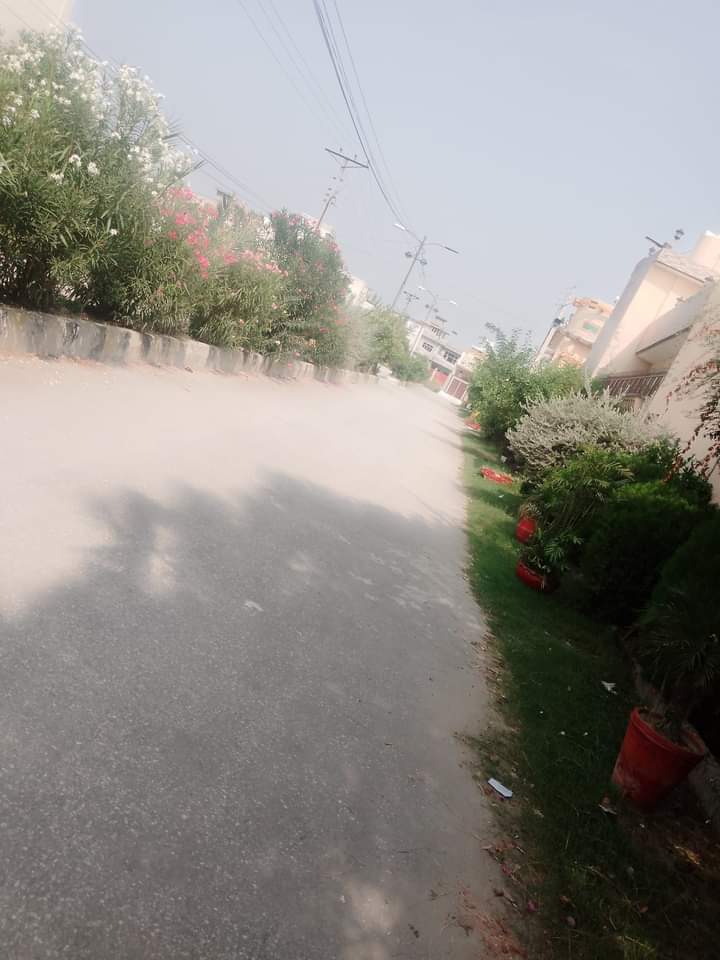 FB_IMG_1729652702172