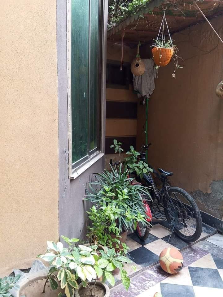 FB_IMG_1729681161646